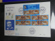 Delcampe - Frankreich FDCs Ab 1999 Besammelt über 200 Stück Im Ringbinder #LY692 - Autres & Non Classés