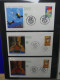 Delcampe - Frankreich FDCs Ab 1999 Besammelt über 200 Stück Im Ringbinder #LY692 - Altri & Non Classificati