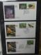 Delcampe - Frankreich FDCs Ab 1999 Besammelt über 200 Stück Im Ringbinder #LY692 - Altri & Non Classificati