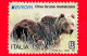 ITALIA - Usato - 2021 - Europa - Orso Bruno Marsicano - Fauna A Rischio Estinzione - B 50 G - 2021-...: Used