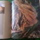 Delcampe - Montagnes Du Monde Geo Editions Solar  2003 Beau Livre De 207 Pages Avec Reliure En  Parfait état - Geographie