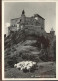 11318317 Tarasp Schloss Schafe Tarasp - Andere & Zonder Classificatie