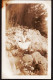 31320 / 5 Photographies TOULON Scène Plage SABLETTES Jeune Femme Bois FAROU Souvenir Voyage MEDITERRANEE 1925s VAR - Lieux