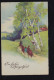 Tiere-AK Pfingsten Maikäfer Zu Fuß Mit Veilchenstrauß, NÜRNBERG 14.5.1932 - Altri & Non Classificati