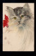 Tiere-AK Katzenportait, NÜRNBERG 5.12.1910 - Katzen