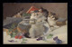 Tiere-AK Katzen-Kind Im Fischglas, Marke Egemes, BREGENZ 1909 - Chats