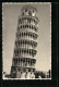 AK Pisa, La Torre Pendente, Der Schiefe Turm Von Pisa  - Otros & Sin Clasificación