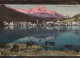 11306419 St Moritz GR St Moritzersee Kuehe Piz Della Margna Graubuenden St. Mori - Andere & Zonder Classificatie