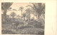 26934 " HOMS-PANORAMA(STAMPATA AL CONTRARIO) " (1914) ANIMATA-VERA FOTOCART.POST. NON SPED. - Libyen