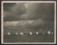 BATEAUX - VOILIERS - REGATES A MIAMI EN 1949 - FORMAT 23 X 18 CM - Barcos