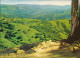 Postcard Südafrika VALLEY OF A THOUSAND HILLS, Natal, South Africa 1970 - South Africa