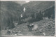 Foto  Kuh Auf Almweg Im Hochgebirge - Fotokarte 1934 Privatfoto - Te Identificeren