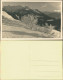 Foto  Winter Im Hochgebirge Stimmungsbild 1934 Privatfoto - Non Classés