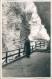 Foto Garmisch-Partenkirchen Partnachklamm 1930 Privatfoto - Garmisch-Partenkirchen