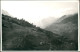 Foto  Alm Österreich 1933 Privatfoto - A Identificar