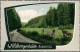 Ansichtskarte Wildbergerhütte AUBACHTAL, Weg - Rehe 1963 - Other & Unclassified