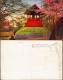 Postcard Japan Japan Nippon 日本 Uoenopark Cheyeri - Baumblüte 1917 - Andere & Zonder Classificatie