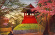 Postcard Japan Japan Nippon 日本 Uoenopark Cheyeri - Baumblüte 1917 - Sonstige & Ohne Zuordnung
