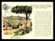 SAN-MARIN - CARTE ILLUSTREE - Saint-Marin