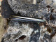 Delcampe - Couteau De Poche Sheldon KNIFE Très Rare Fabriqué à Sheffield Par Wade Et Butche - Armes Blanches