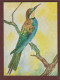 Carte Postale - LES OISEAUX = LE GUÊPIER - Aquarelle De Pierre THIRIOT -  Édition L.P.O. à Paris - 2 Scan - Oiseaux