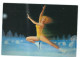 PUBL BY EDITIONS NUGERON  ILLUSTRATEURS SERIES HOLIDAY ON ICE BY L CASTIGLIONI  CARD NO H 178 - Contemporánea (desde 1950)