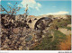 AGMP11-0758-66 - CERET - Cerisiers Eb Fleurs - Les 3 Ponts  - Ceret