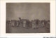 AGRP1-0025-ALGERIE - Scenes Et Types - Chameaux Et Chameliers CARTE PHOTO - Escenas & Tipos