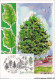 AGSP9-0558-CARTE MAXIMUM - ORLEANS 1985 - NATURE DE FRANCE - FAGUS SYLVATICA - 1980-1989