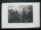 Original Print Engraving  Stahlstich Harz. Rehberg. - Rehberger Klippen & Achtermannshöhe  Deutschland - Prenten & Gravure