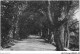 AGUP1-0072-PORTUGAL - PEDRAS SALGADAS - Avenida A Margem Do Avellames - Other & Unclassified