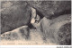 CAR-ABAP3-29-0215 - HUELGOAT - Couloir De La Grotte Du Diable - Huelgoat