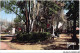 CAR-ABAP11-92-1047 - CHATILLON - Seine - Le Square Et Le Monument Aux Morts - Châtillon