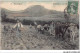 CAR-ABCP11-1018 - AGRICULTURE - AUVERGNE - SEMENCE DE BLES  - Cultivation