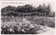 4823137Pretoria, Rose Garden, Government Hous. 1952. (little Crease Corners) - Afrique Du Sud