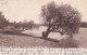 4823134Riverton, On The Banks Of The Vaal Riverton.(briefmark 1905)(see Corners, See Sides) - South Africa