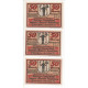 NOTGELD - FRIEDRICHRODA - 11 Different Notes 10 & 30 & 50 Pfennig (F050) - Lokale Ausgaben