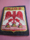 Ecusson Tissu Ancien /NICE / Alpes Maritimes/ Vers 1950- 1970                                  ET658 - Escudos En Tela