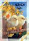 PASQUA POLLO UOVO Vintage Cartolina CPSM #PBO663.A - Easter