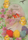 PASQUA POLLO UOVO Vintage Cartolina CPSM #PBO598.A - Pâques