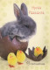 OSTERN KANINCHEN Vintage Ansichtskarte Postkarte CPSM #PBO495.A - Easter