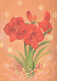 FLOWERS Vintage Ansichtskarte Postkarte CPSM #PBZ733.A - Flowers