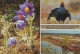 UCCELLO Animale Vintage Cartolina CPSM #PAN359.A - Birds