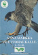 BIRD Animals Vintage Postcard CPSM #PAN247.A - Vogels