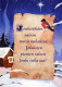 OISEAU Animaux Vintage Carte Postale CPSM #PAN035.A - Oiseaux