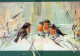 OISEAU Animaux Vintage Carte Postale CPSM #PAM734.A - Birds
