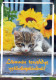 CAT KITTY Animals Vintage Postcard CPSM #PAM641.A - Katzen