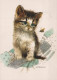 GATTO KITTY Animale Vintage Cartolina CPSM #PAM583.A - Chats