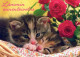 GATTO KITTY Animale Vintage Cartolina CPSM #PAM538.A - Katten