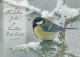 VOGEL Tier Vintage Ansichtskarte Postkarte CPSM #PBR498.A - Pájaros